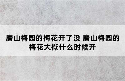 磨山梅园的梅花开了没 磨山梅园的梅花大概什么时候开